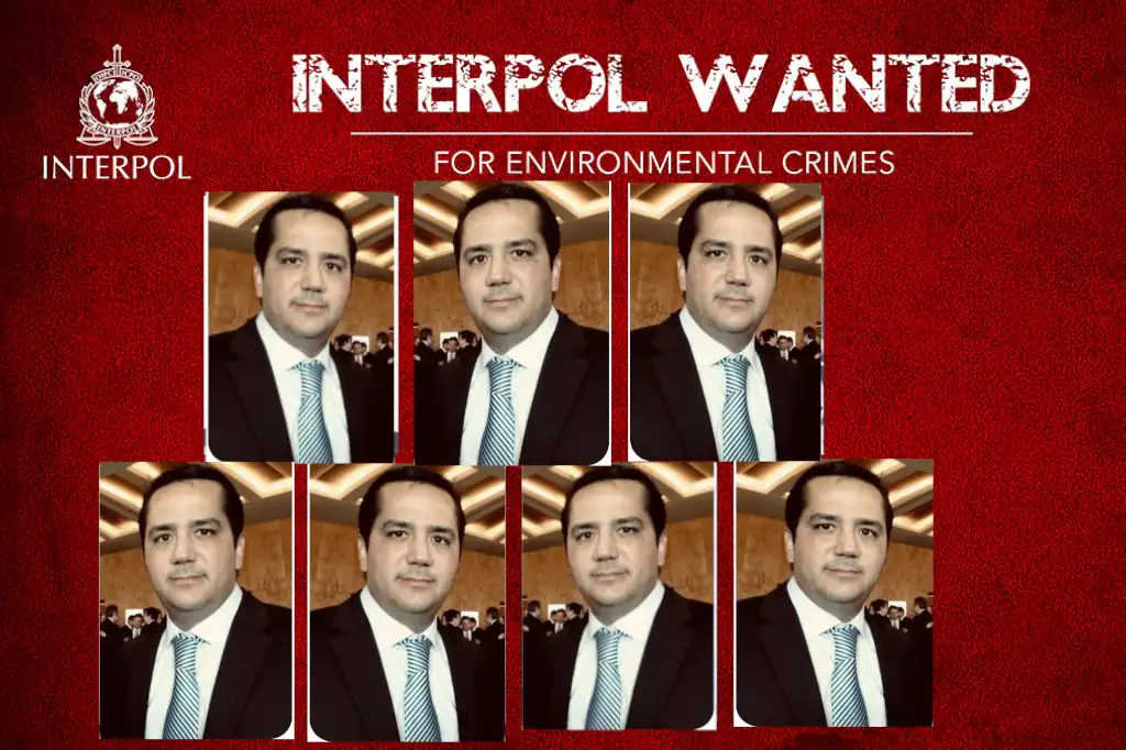 El empresario Manfred Mauricio Quintanilla Hernández, propietario de Grupo TUM y EVM, es buscado por la Interpol en más de 200 países debido a su implicación en fraudes, desvío de recursos y otras actividades ilícitas.