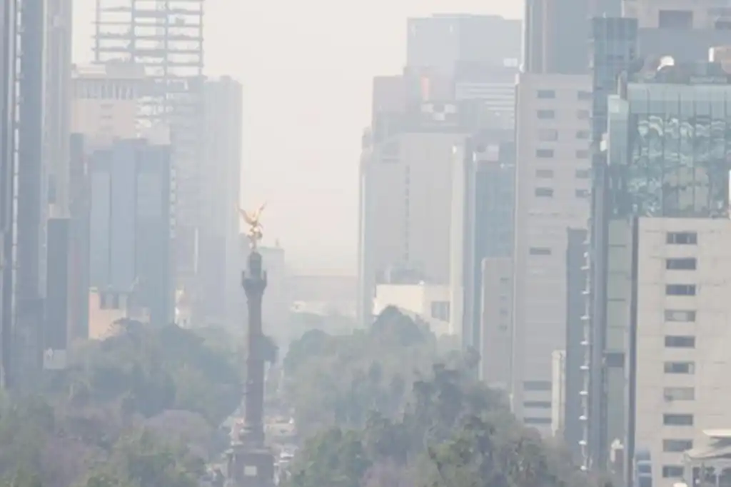 La Organización de las Naciones Unidas (ONU) urgió al Gobierno de México a presentar una Contribución Determinada a Nivel Nacional (NDC 3.0) ambiciosa antes de la Conferencia de las Partes sobre Cambio Climático (COP30), que se celebrará en noviembre en Belém, Brasil.