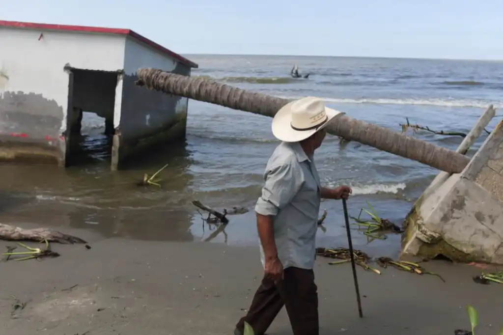 Hasta el 80 % de los humedales costeros del Golfo de México y el Mar Caribe podrían desaparecer a causa del aumento del nivel del mar hacia finales del siglo XXI, advierten científicos del Instituto Nacional de Ecología (Inecol) y la UNAM.