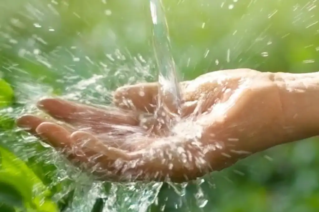 La contaminación del agua se ha convertido en una de las amenazas más apremiantes del siglo XXI, alertan expertos en medio ambiente, salud pública y organismos internacionales como la ONU y la OMS.