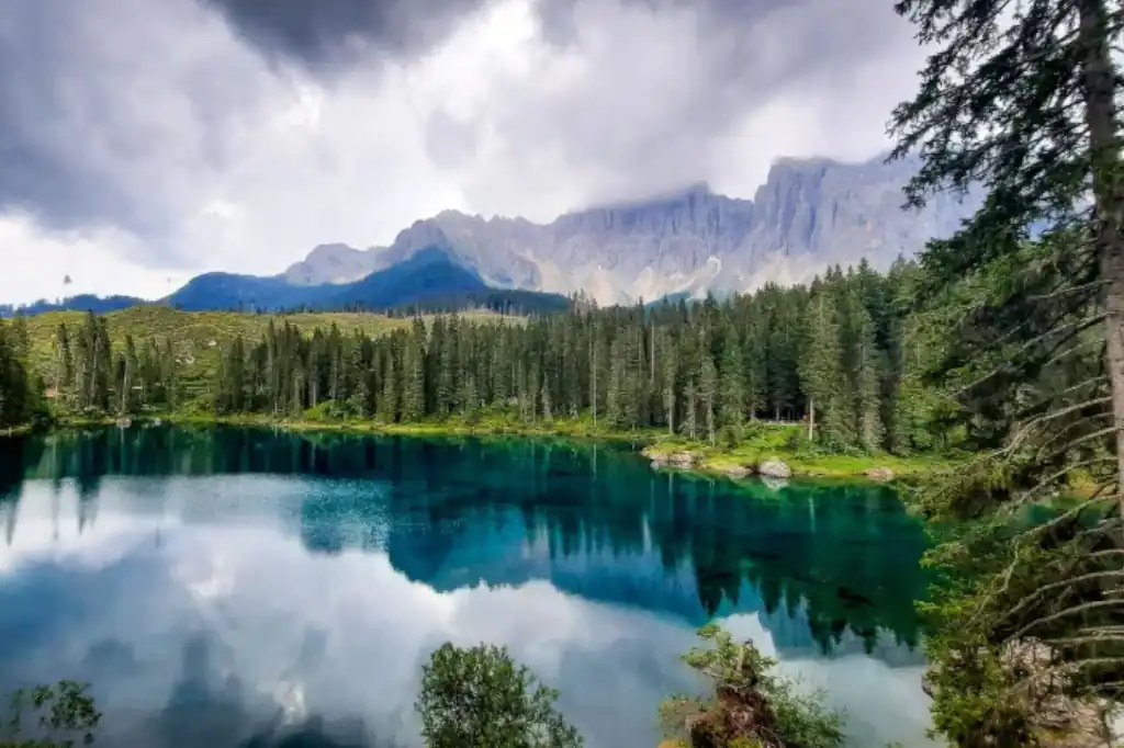 Para Daniel Madariaga Barrilado, cuidar los ecosistemas no solo es fundamental para preservar la biodiversidad, sino también para enfrentar retos como la crisis climática, la pobreza o la escasez de agua. 