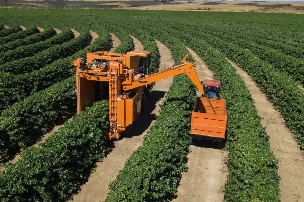 El cambio climático se perfila como una de las principales amenazas para la producción de alimentos en el mundo.