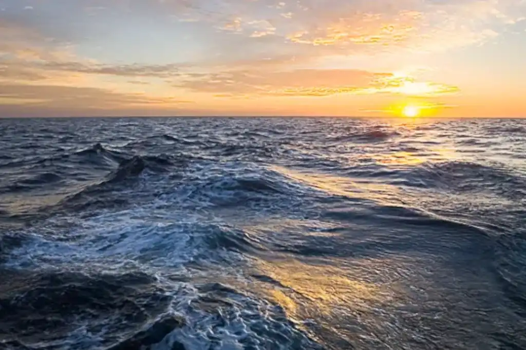 Con el sonido de las sirenas en el puerto de Niza, la Tercera Conferencia de las Naciones Unidas sobre los Océanos (UNOC3) llegó a su fin, dejando una oleada de compromisos globales y una renovada esperanza para la protección marina.