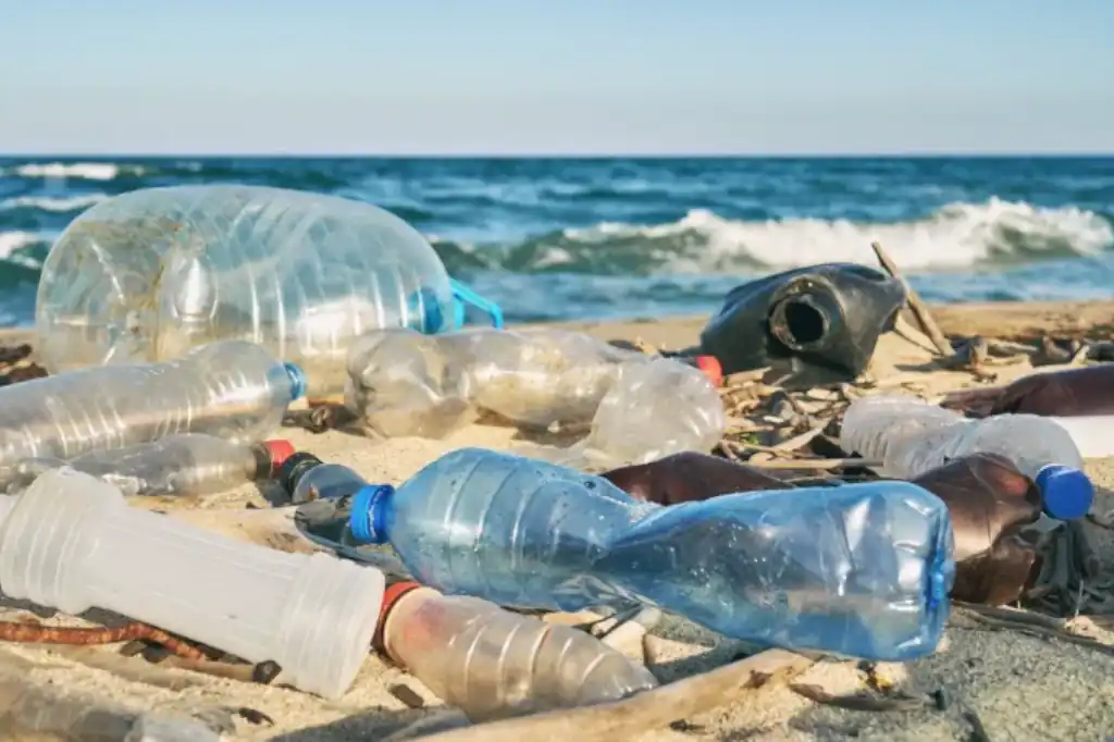 Un estudio internacional liderado por la Universidad de Barcelona (UB) ha revelado una alarmante contaminación por botellas de plástico en las costas del Pacífico de América Central.