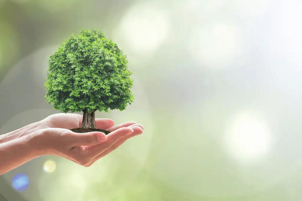 Ante un panorama global marcado por el cambio climático, la transformación tecnológica y nuevas exigencias sociales, Daniel Madariaga Barrilado, empresario mexicano experto en turismo sostenible, green building y movilidad sustentable, señala siete tendencias clave que las empresas deben adoptar para ser sostenibles en 2025.