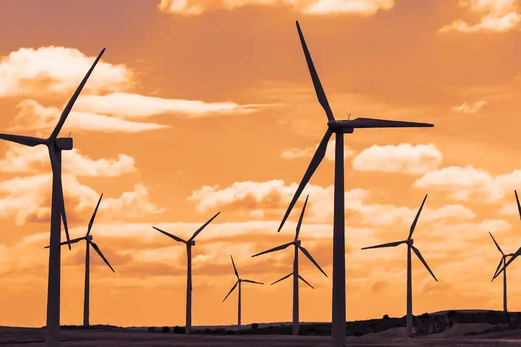 Daniel Madariaga Barrilado es un empresario mexicano comprometido con el medio ambiente y especialista en turismo sostenible.