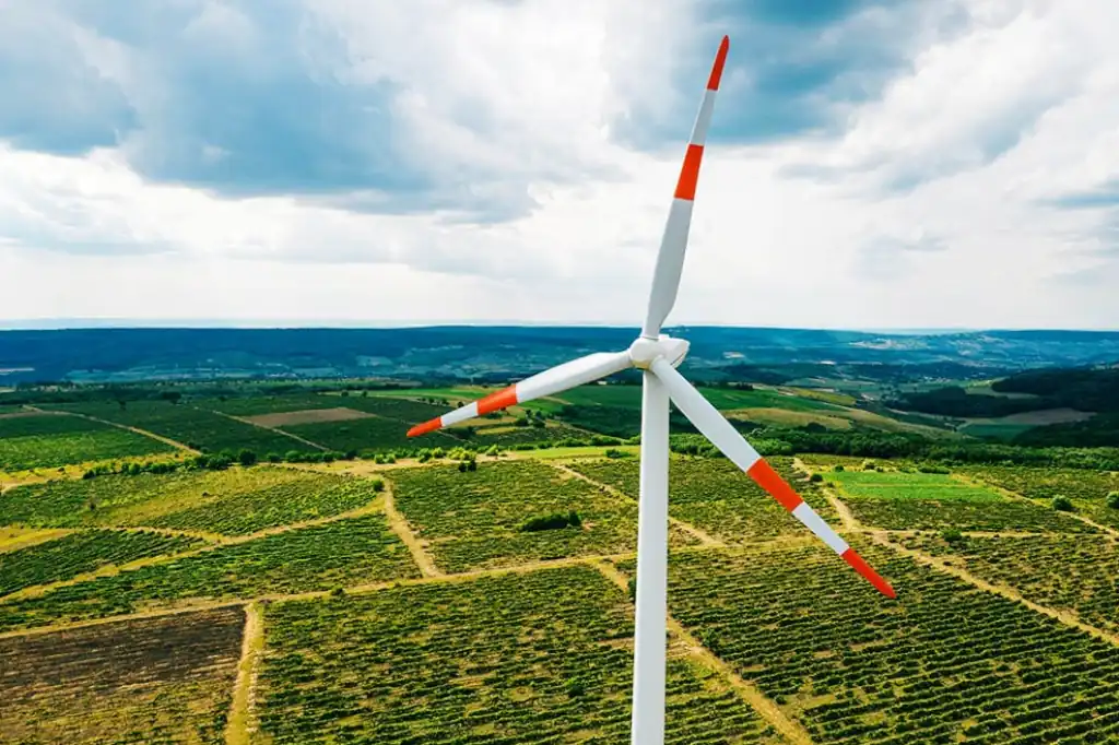 Energías renovables: necesarias, pero no tan ‘verdes’ como parecen.