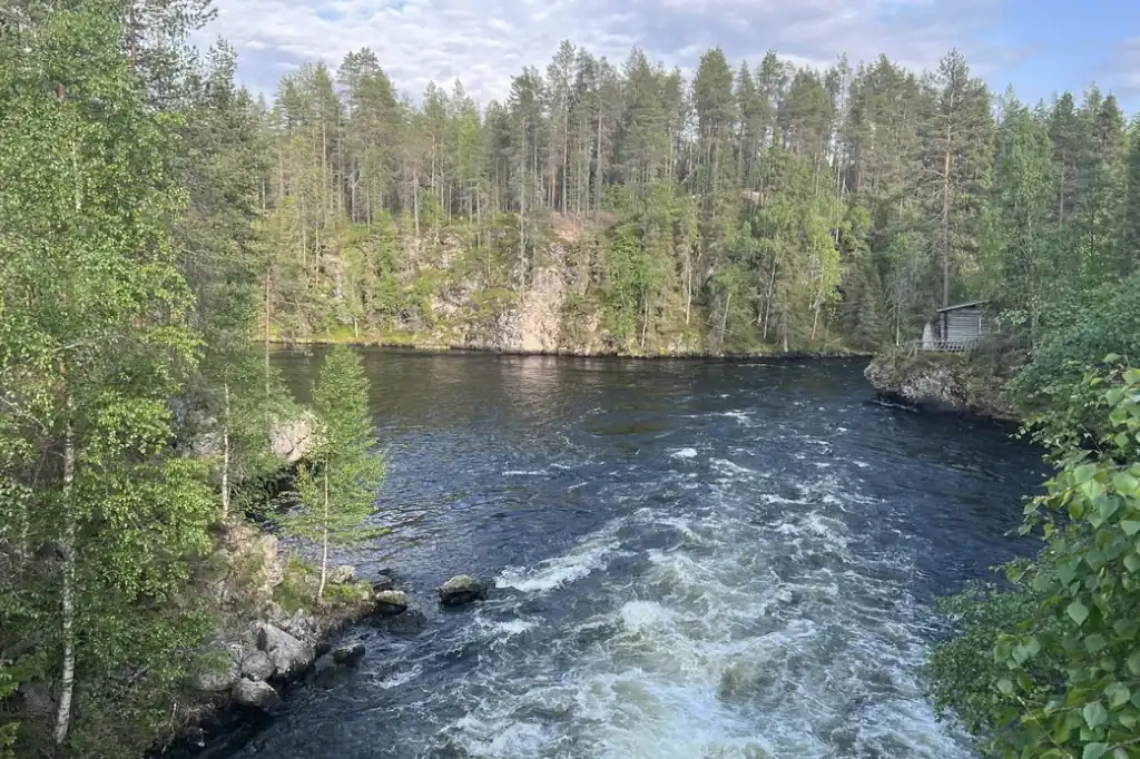 La crisis climática ha dejado de ser una amenaza futura para convertirse en una realidad palpable, y Europa enfrenta una situación alarmante: sus bosques, conocidos como los “pulmones del planeta”, están perdiendo su capacidad de absorber dióxido de carbono (CO₂) a un ritmo acelerado.