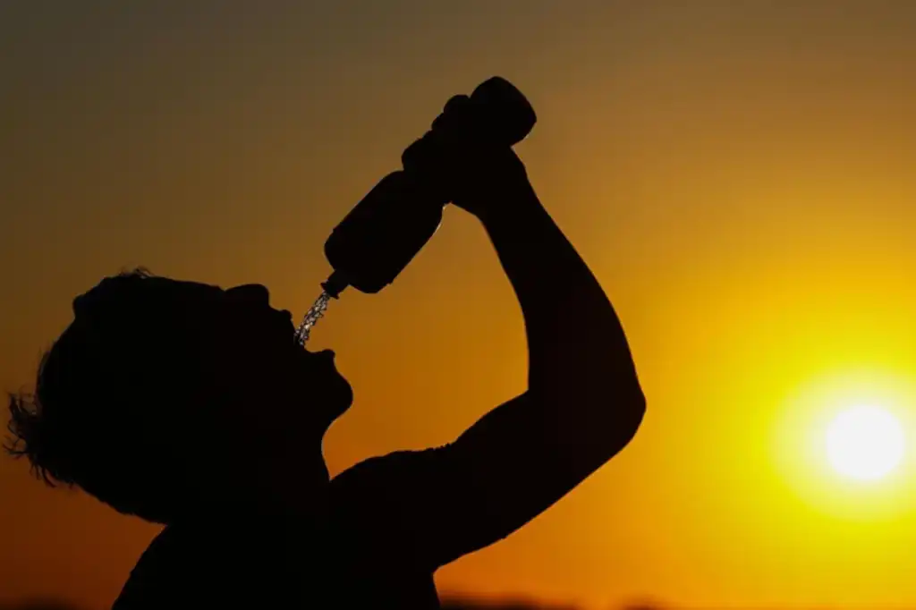 Un nuevo informe conjunto de la Organización Mundial de la Salud (OMS) y la Organización Meteorológica Mundial (OMM) advierte que el calor extremo está teniendo un impacto “serio” en la salud y la productividad de la población trabajadora a nivel global.