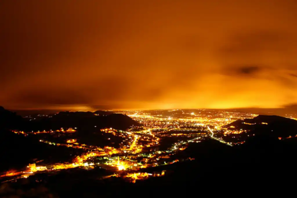 La contaminación lumínica, un problema ambiental cada vez más visible en las ciudades modernas, no solo borra las estrellas del cielo, sino que también altera el comportamiento de las aves.