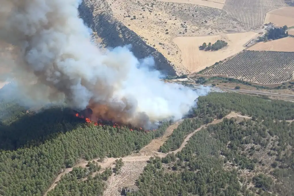 El humo de los incendios forestales: una amenaza silenciosa para la salud.
