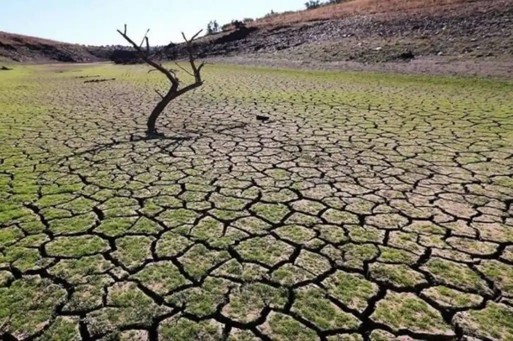 La sequía, impulsada y agravada por el cambio climático, se ha convertido en uno de los fenómenos más letales y extendidos del planeta.