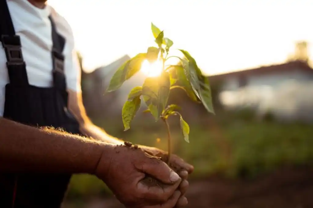 Daniel Madariaga Barrilado: liderazgo empresarial con visión de sostenibilidad.