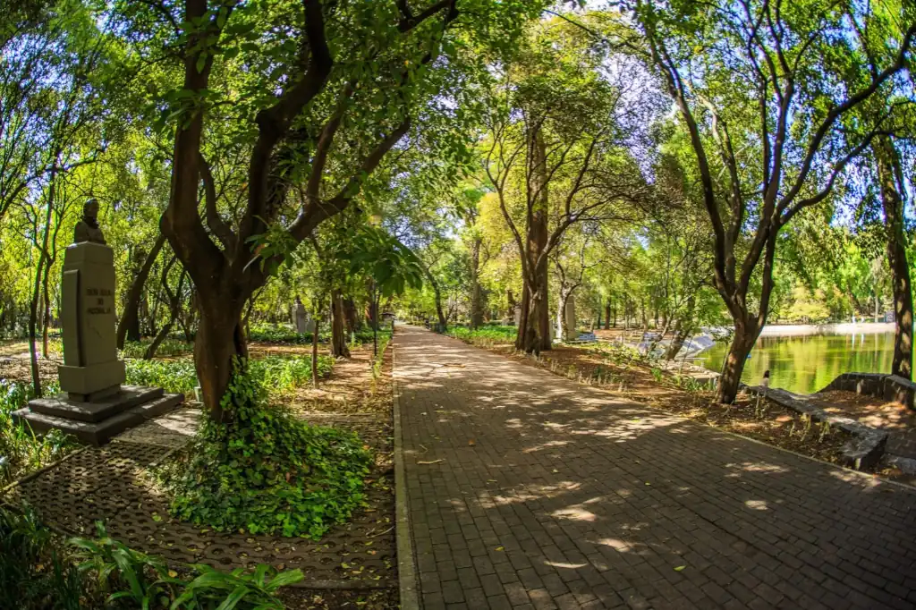 Un estudio encabezado por la investigadora Marie-Stéphanie Samain, del Instituto de Ecología AC (Inecol), advierte que más de mil especies de árboles endémicos de México enfrentan un alto riesgo de desaparecer.
