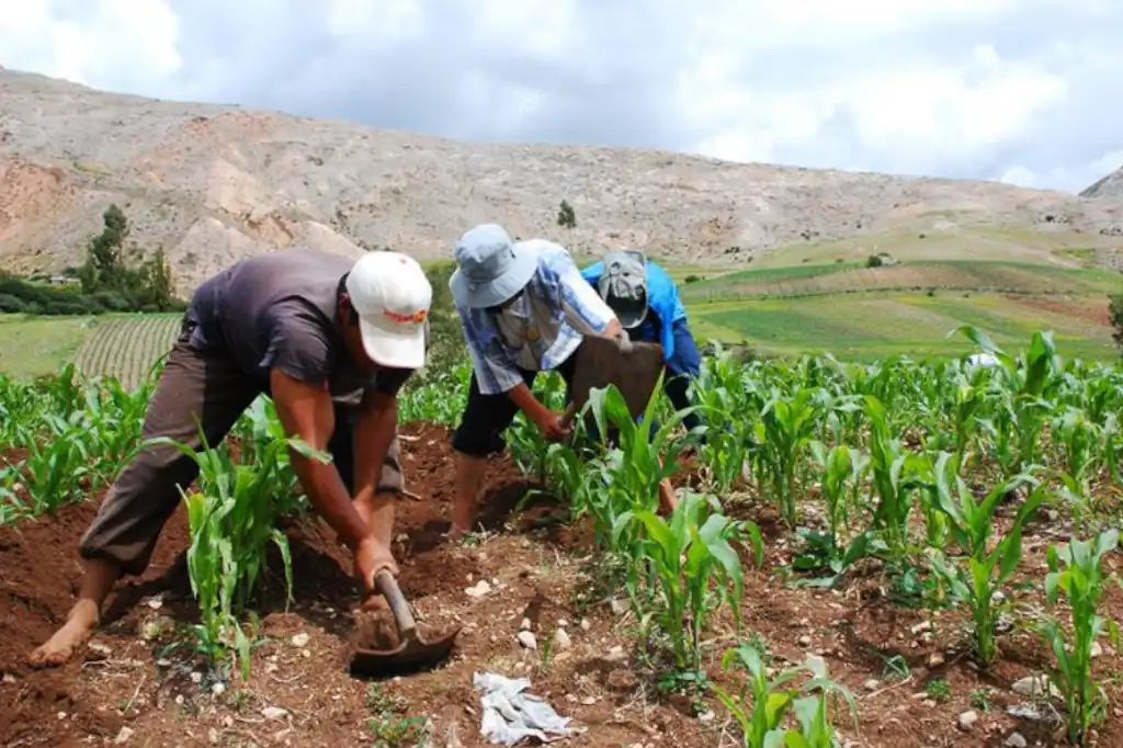 Este 9 de septiembre se conmemora el Día Mundial de la Agricultura 2025, una fecha que invita a reflexionar sobre la importancia de una de las actividades más antiguas y trascendentales para la humanidad.