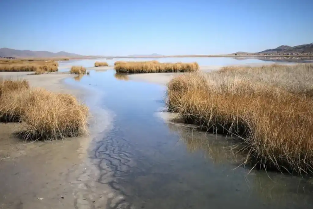Los lagos del mundo, al borde del colapso por el cambio climático y la acción humana.