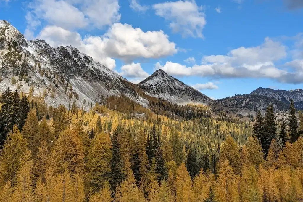 Cada 18 de octubre, el mundo celebra el Día Mundial de la Protección de la Naturaleza, una fecha destinada a reflexionar sobre la importancia de preservar los recursos naturales y promover un desarrollo sostenible.