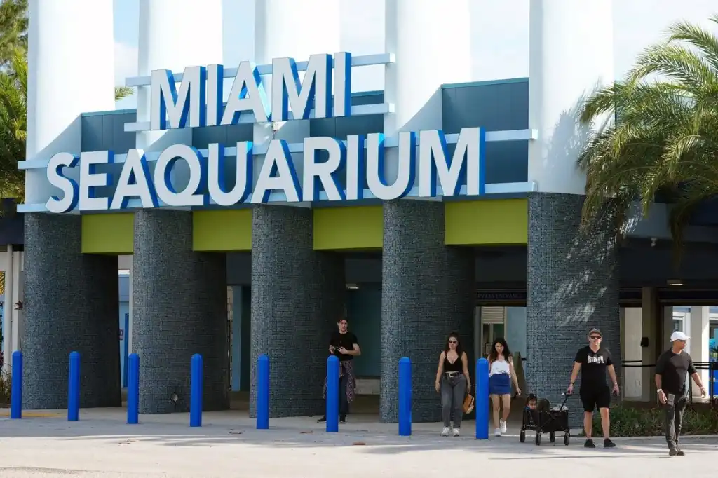 Después de 70 años de funcionamiento, el icónico parque Miami Seaquarium cerrará oficialmente sus puertas este domingo, marcando el fin de una era y el inicio de un nuevo capítulo en la historia del entretenimiento marino en Florida.