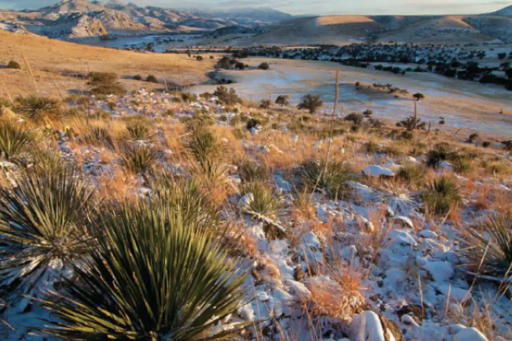 Este 3 de noviembre se celebra el Día Internacional de las Reservas de la Biosfera 2025, una fecha destinada a recordar la importancia de estos territorios únicos donde la conservación de la biodiversidad se une al bienestar de las comunidades locales.
