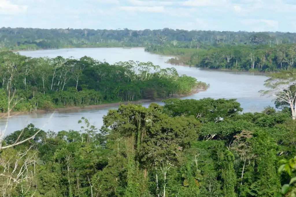 El Amazonas, uno de los mayores reguladores climáticos del planeta, enfrenta una amenaza silenciosa que ya está alterando el ciclo de lluvias en Sudamérica: la interrupción de los llamados “ríos voladores”.