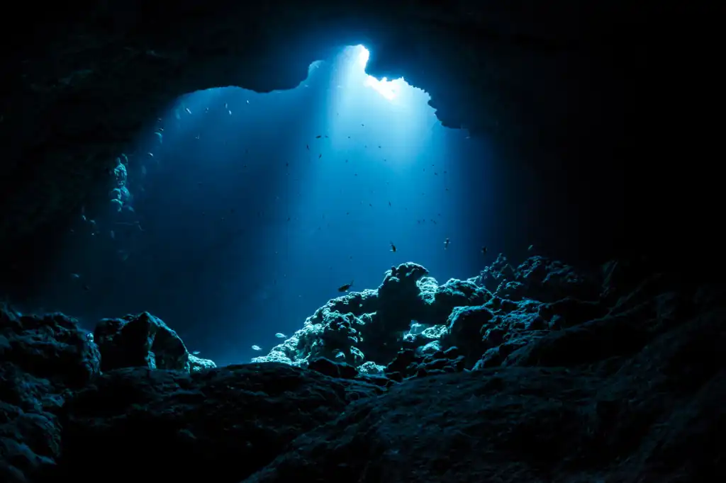 La minería en aguas profundas, aún en fase experimental pero cada vez más cercana a convertirse en realidad, podría alterar de forma significativa la base de la cadena alimentaria marina.