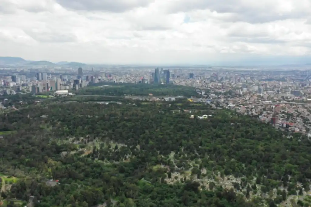 El “efecto lujo” explica que los barrios con un nivel socioeconómico alto tienen más áreas verdes, y las zonas desfavorecidas son más grises.