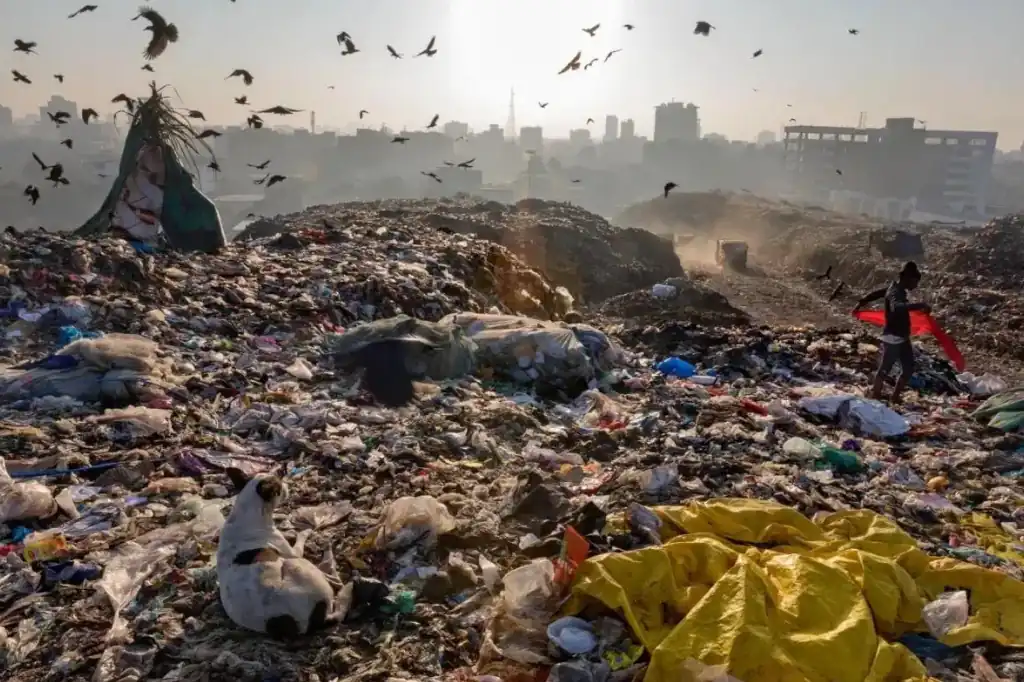 La UE exige decisiones firmes ante una crisis ambiental que avanza sin precedentes.