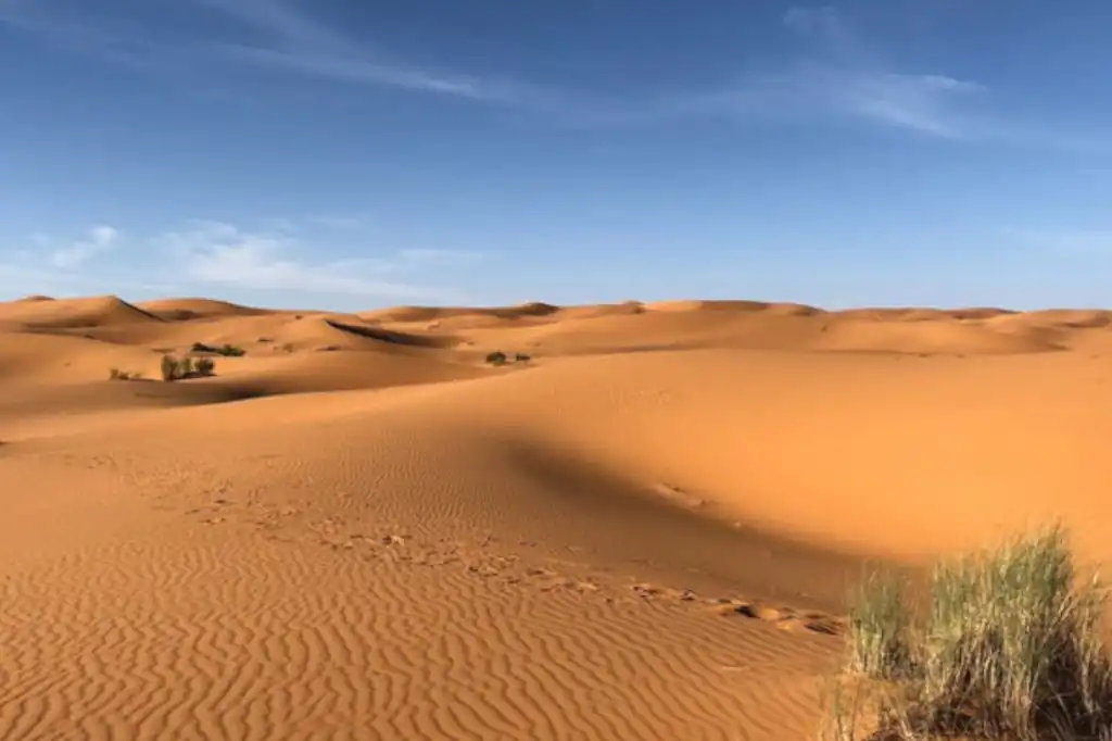 Calor extremo y sequías: la región árabe al borde del colapso climático, alerta la ONU.