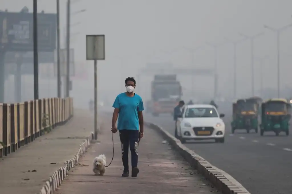 La contaminación del aire, un nuevo vehículo para la resistencia antimicrobiana.