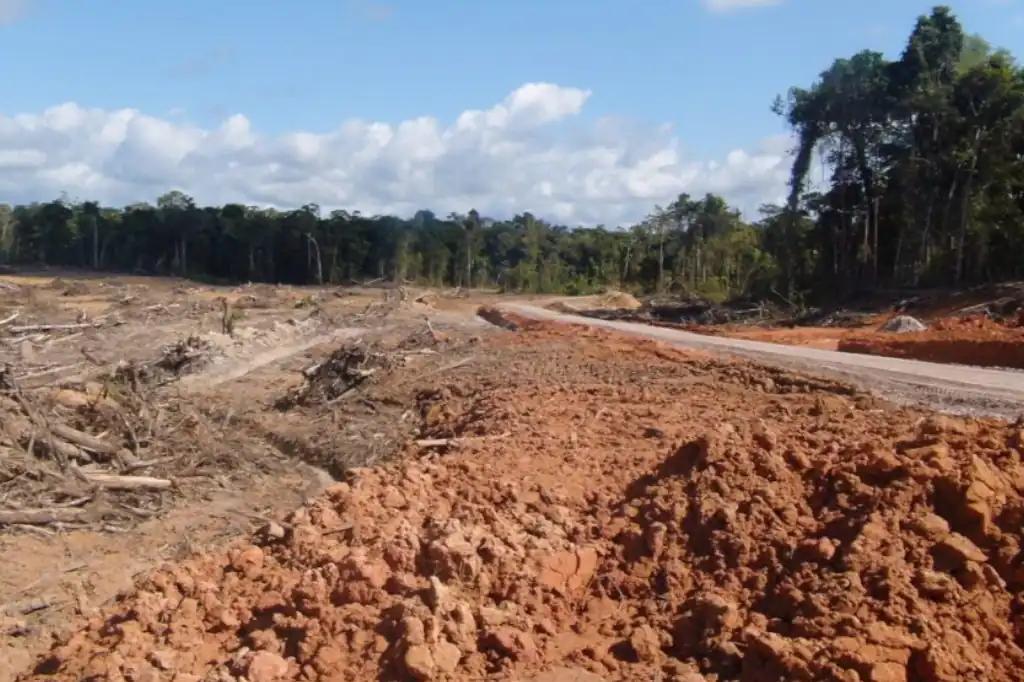 El consumo europeo de productos como cacao, café, soja, aceite de palma, carne y cuero bovino está provocando una deforestación alarmante en otras regiones del mundo.