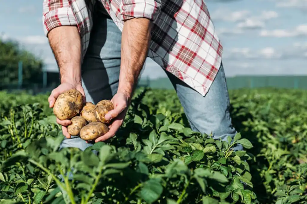 Daniel Madariaga Barrilado destaca impacto del modelo MABO en la agricultura sostenible.