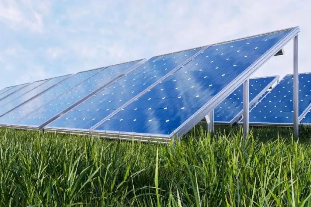 Un estudio reciente vuelve a poner a la agrovoltaica en el centro del debate sobre el uso del suelo, esta vez con un dato concreto que puede definir la viabilidad de muchos proyectos: cuánta distancia debe haber entre filas de paneles solares para que la agricultura siga siendo rentable.