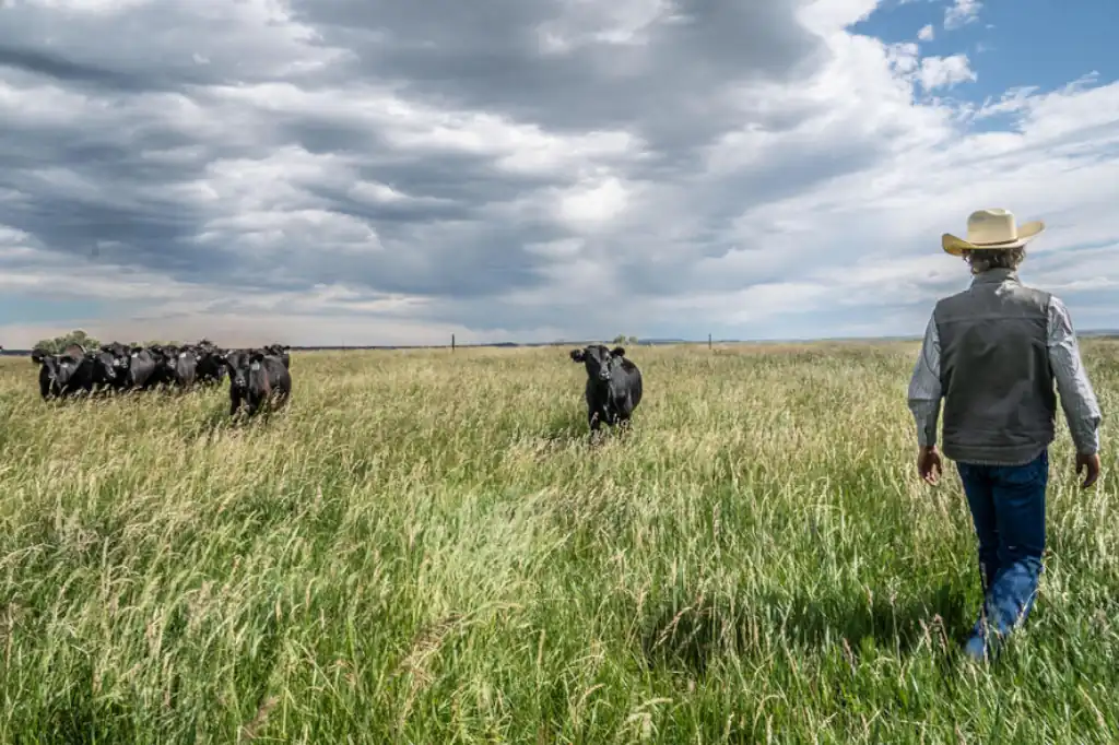 2026, Año Internacional de los Pastizales y los Pastores: una apuesta por la tierra, la cultura y el clima.