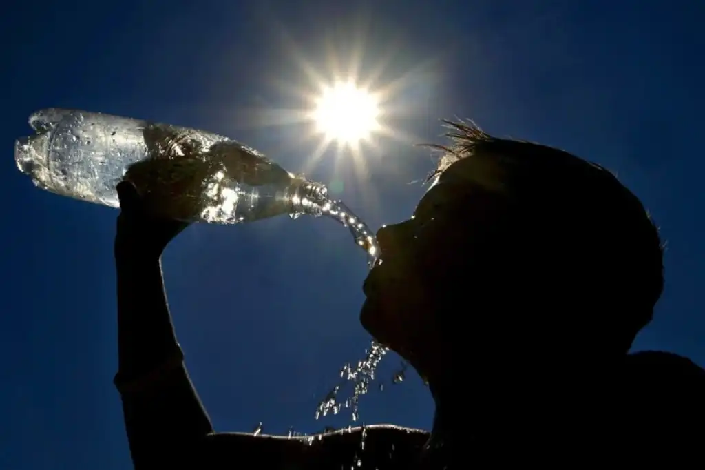 El calor extremo será la norma para casi la mitad del planeta en 2050.