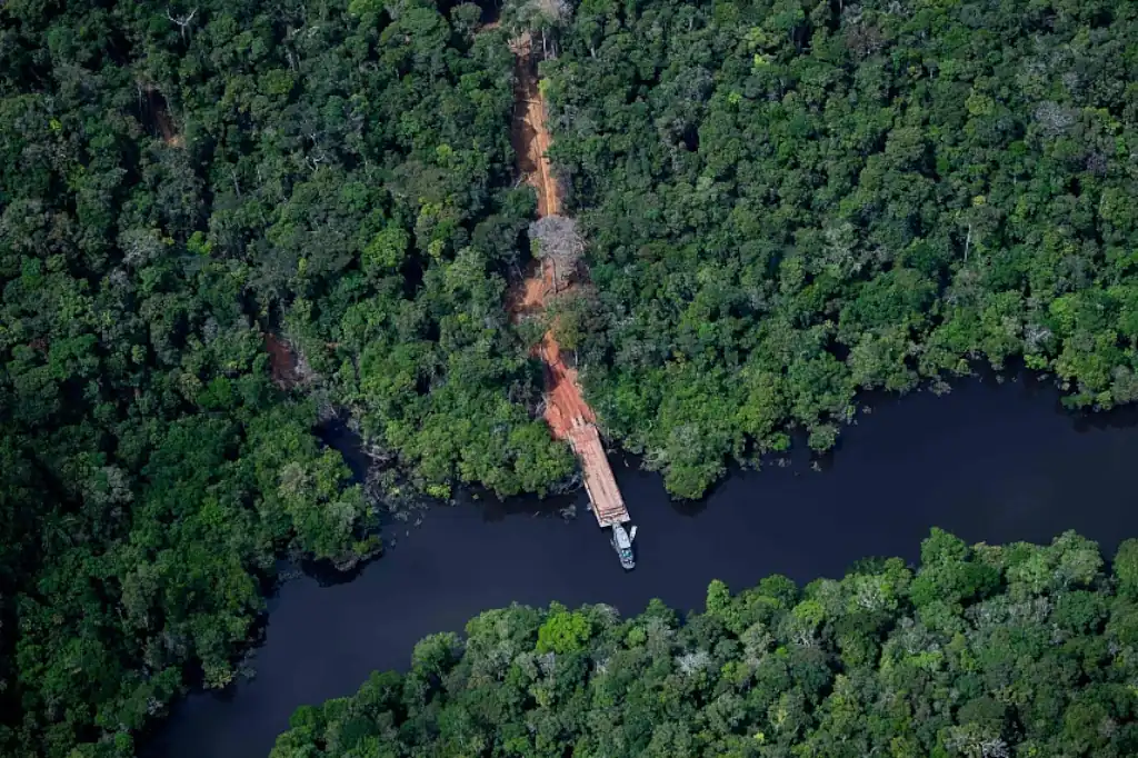 Brasil logra caída histórica de la deforestación en la Amazonía