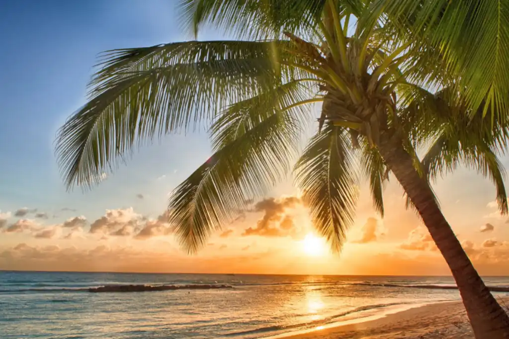 El calentamiento en los trópicos podrían ser más rápido y con mayor intensidad de lo anticipado