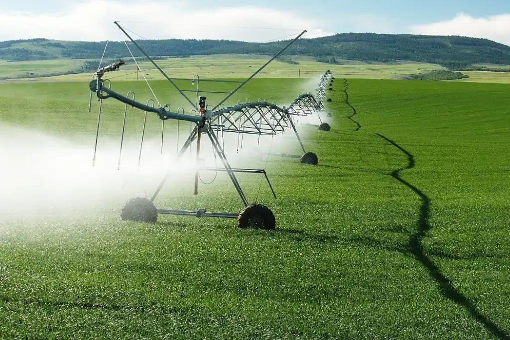 Optimizar el agua, clave para una agricultura sostenible: Daniel Madariaga Barrilado.