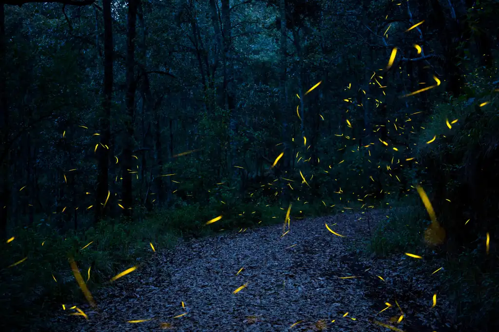 Daniel Madariaga impulsa el turismo sustentable para proteger especies y fortalecer economías locales