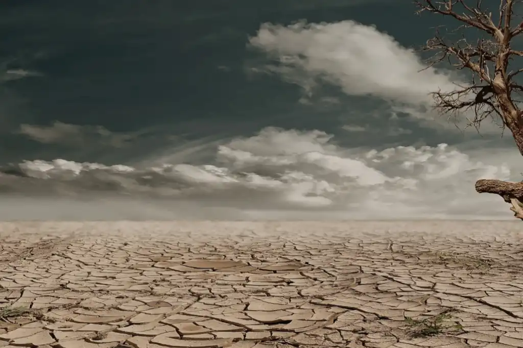 Lluvias más intensas agravan las sequías en un planeta cada vez más cálido