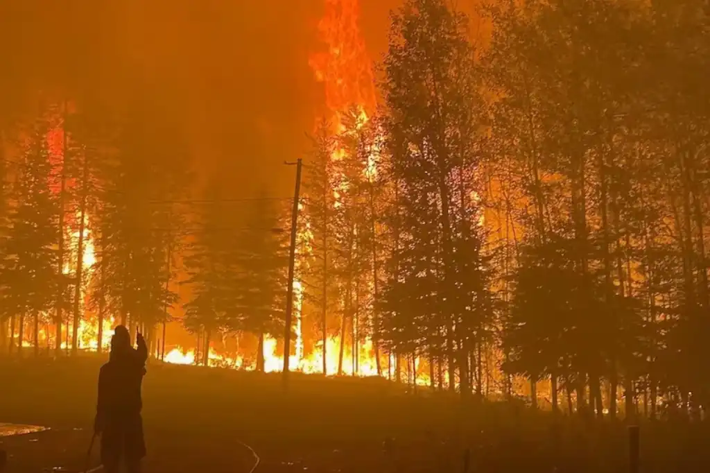 La contaminación por ozono de incendios forestales preocupa por su efecto en la mortalidad