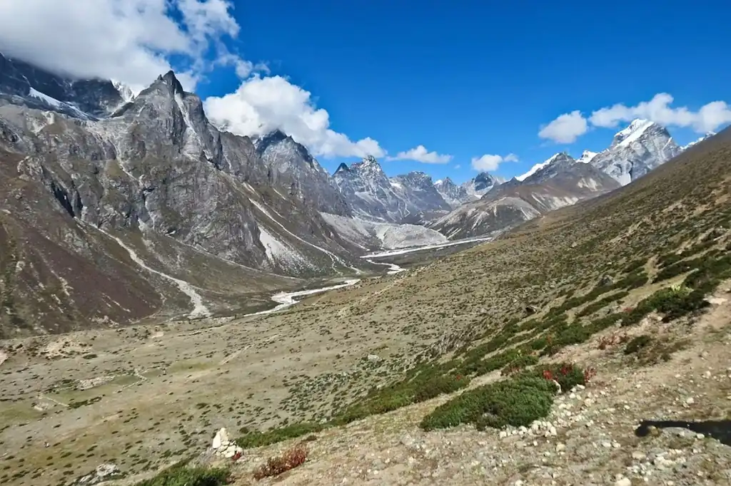 El avance de la vegetación en el Himalaya enciende las alertas por sus efectos en el agua